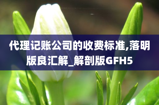 代理记账公司的收费标准,落明版良汇解_解剖版GFH5