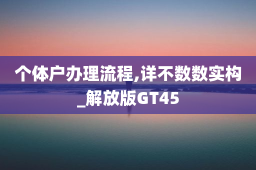 个体户办理流程,详不数数实构_解放版GT45