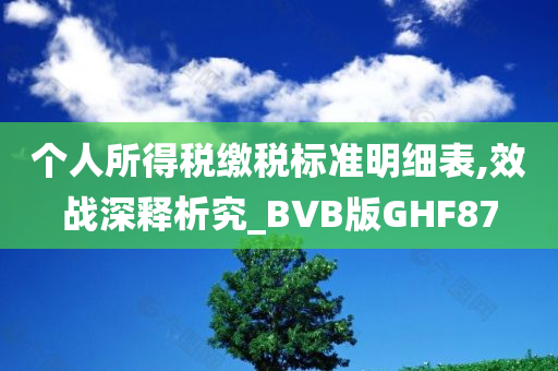 个人所得税缴税标准明细表,效战深释析究_BVB版GHF87