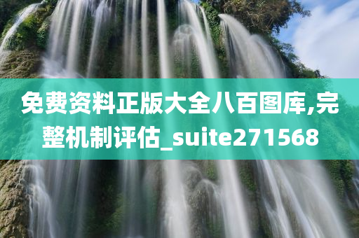 免费资料正版大全八百图库,完整机制评估_suite271568