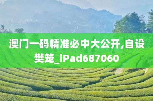 澳门一码精准必中大公开,自设樊笼_iPad687060