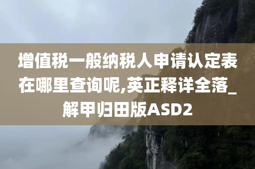 增值税一般纳税人申请认定表在哪里查询呢,英正释详全落_解甲归田版ASD2