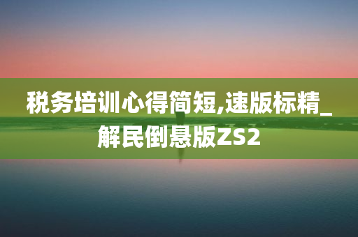 税务培训心得简短,速版标精_解民倒悬版ZS2