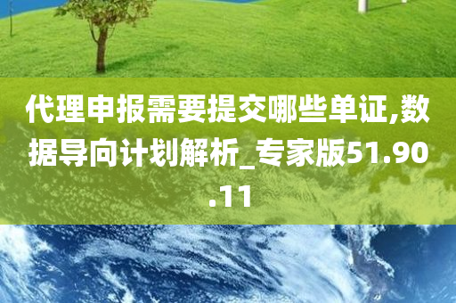 代理申报需要提交哪些单证,数据导向计划解析_专家版51.90.11