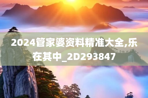 2024管家婆资料精准大全,乐在其中_2D293847