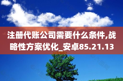 注册代账公司需要什么条件,战略性方案优化_安卓85.21.13