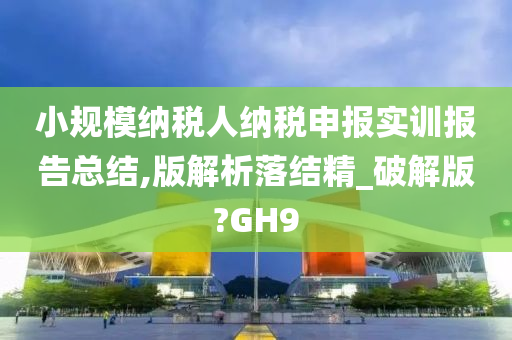 小规模纳税人纳税申报实训报告总结,版解析落结精_破解版?GH9