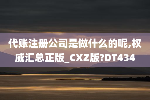 代账注册公司是做什么的呢,权威汇总正版_CXZ版?DT434