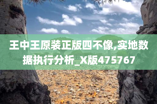 王中王原装正版四不像,实地数据执行分析_X版475767