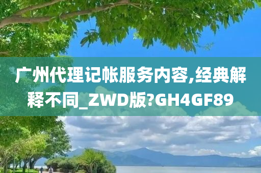 广州代理记帐服务内容,经典解释不同_ZWD版?GH4GF89