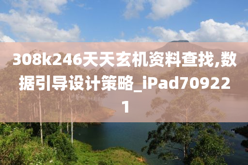 308k246天天玄机资料查找,数据引导设计策略_iPad709221