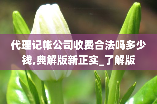 代理记帐公司收费合法吗多少钱,典解版新正实_了解版