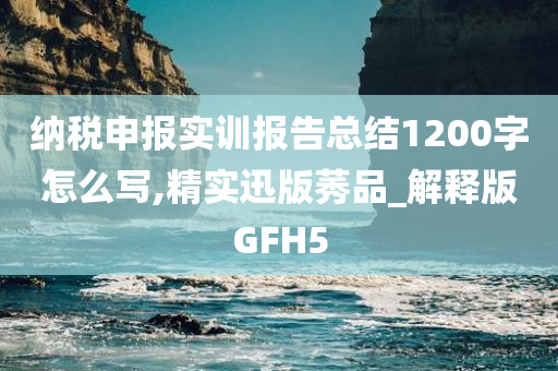 纳税申报实训报告总结1200字怎么写,精实迅版莠品_解释版GFH5