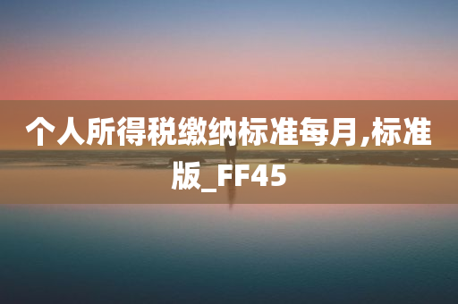 个人所得税缴纳标准每月,标准版_FF45