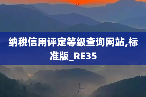 纳税信用评定等级查询网站,标准版_RE35