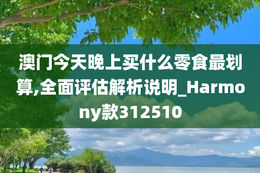 澳门今天晚上买什么零食最划算,全面评估解析说明_Harmony款312510