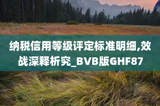 纳税信用等级评定标准明细,效战深释析究_BVB版GHF87