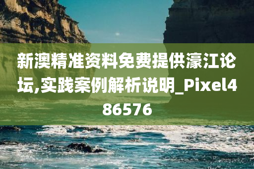 新澳精准资料免费提供濠江论坛,实践案例解析说明_Pixel486576