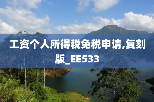 工资个人所得税免税申请,复刻版_EE533