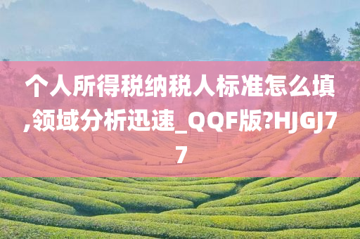 个人所得税纳税人标准怎么填,领域分析迅速_QQF版?HJGJ77