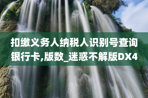 扣缴义务人纳税人识别号查询银行卡,版数_迷惑不解版DX4