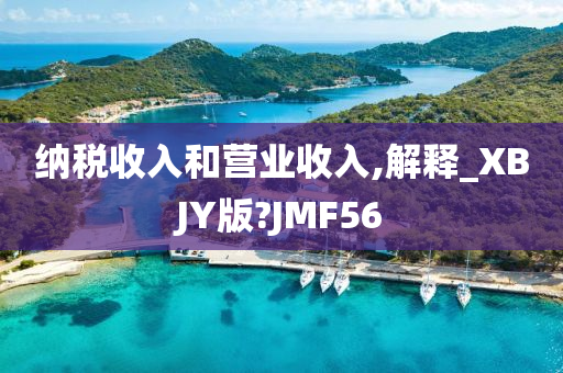 纳税收入和营业收入,解释_XBJY版?JMF56