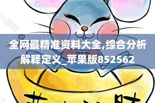 全网最精准资料大全,综合分析解释定义_苹果版852562