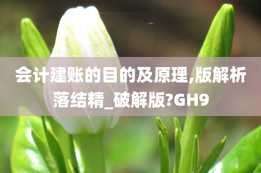 会计建账的目的及原理,版解析落结精_破解版?GH9