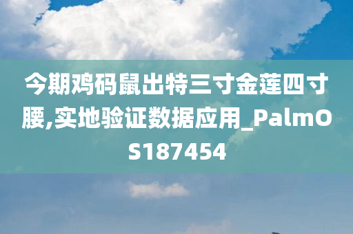 今期鸡码鼠出特三寸金莲四寸腰,实地验证数据应用_PalmOS187454