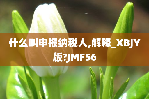 什么叫申报纳税人,解释_XBJY版?JMF56