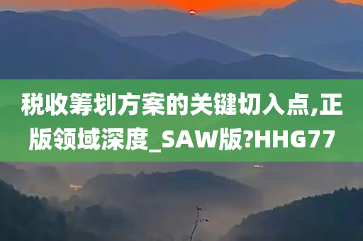 税收筹划方案的关键切入点,正版领域深度_SAW版?HHG77