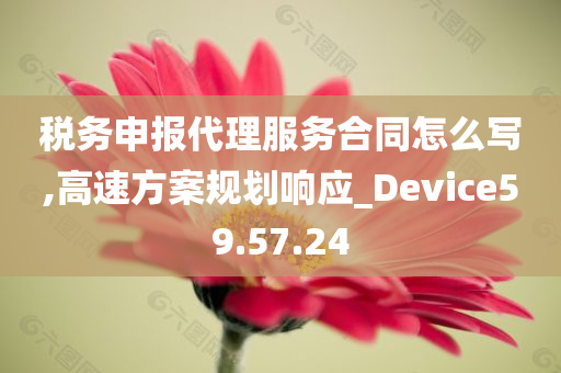 税务申报代理服务合同怎么写,高速方案规划响应_Device59.57.24