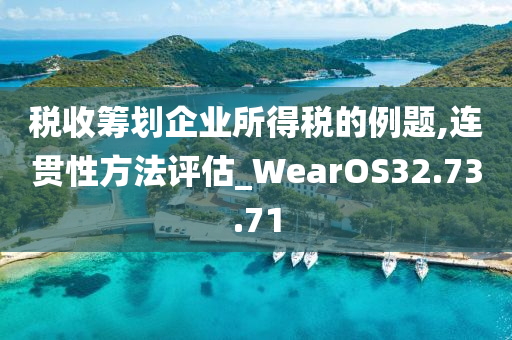 税收筹划企业所得税的例题,连贯性方法评估_WearOS32.73.71