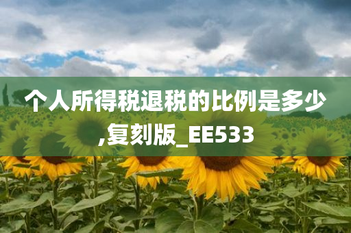 个人所得税退税的比例是多少,复刻版_EE533