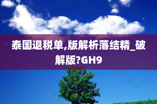 泰国退税单,版解析落结精_破解版?GH9