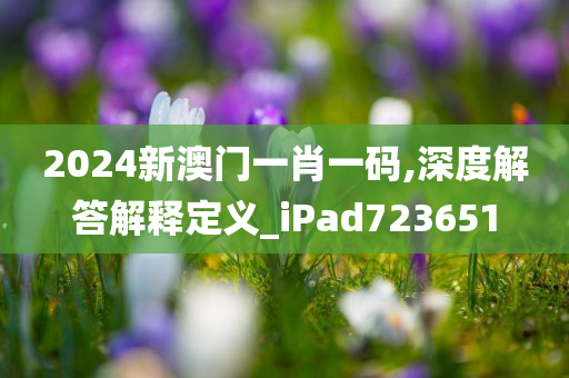 2024新澳门一肖一码,深度解答解释定义_iPad723651