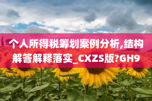 个人所得税筹划案例分析,结构解答解释落实_CXZS版?GH9