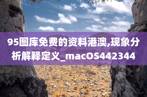 95图库免费的资料港澳,现象分析解释定义_macOS442344