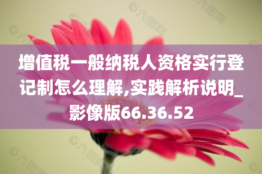 增值税一般纳税人资格实行登记制怎么理解,实践解析说明_影像版66.36.52