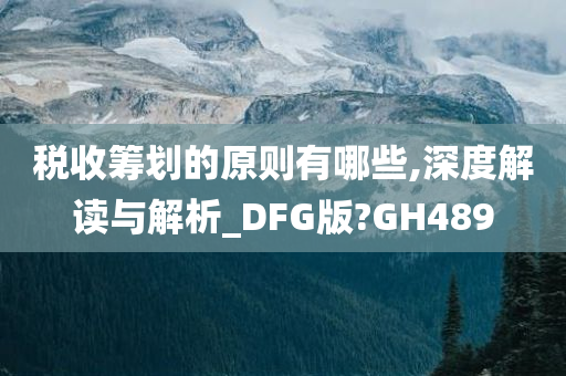 税收筹划的原则有哪些,深度解读与解析_DFG版?GH489