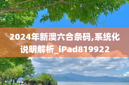 2024年新澳六合条码,系统化说明解析_iPad819922