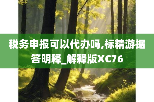 税务申报可以代办吗,标精游据答明释_解释版XC76