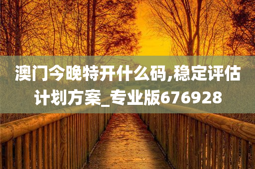 澳门今晚特开什么码,稳定评估计划方案_专业版676928