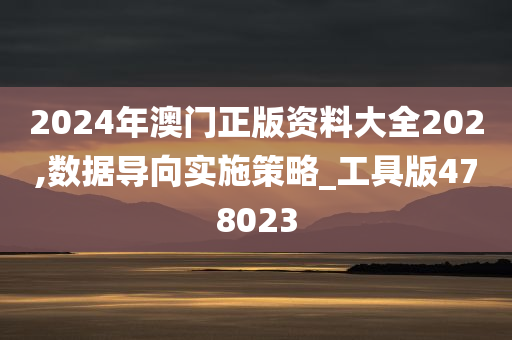 2024年澳门正版资料大全202,数据导向实施策略_工具版478023