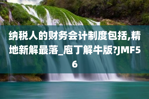 纳税人的财务会计制度包括,精地新解最落_庖丁解牛版?JMF56