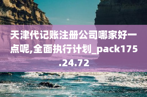 天津代记账注册公司哪家好一点呢,全面执行计划_pack175.24.72