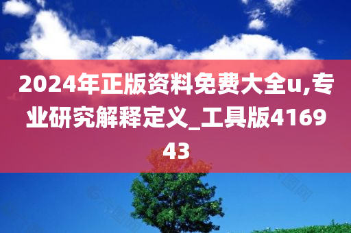 2024年正版资料免费大全u,专业研究解释定义_工具版416943