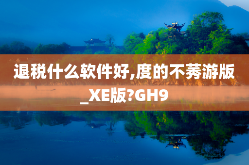 退税什么软件好,度的不莠游版_XE版?GH9