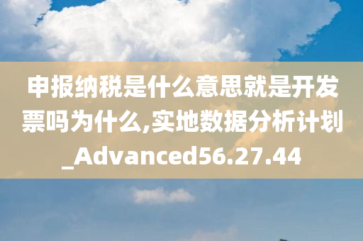 申报纳税是什么意思就是开发票吗为什么,实地数据分析计划_Advanced56.27.44