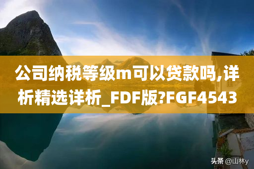 公司纳税等级m可以贷款吗,详析精选详析_FDF版?FGF4543